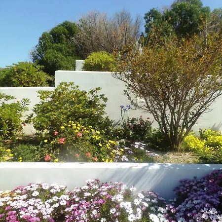 Majestic Blue - House With Garden! Casa vacanze *